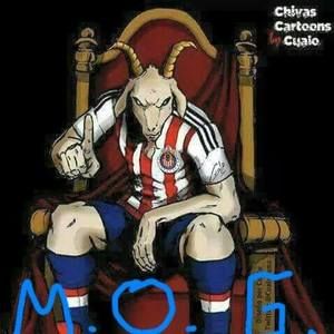 Meet your Posher, Marcelo